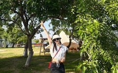 日本无码免费A片无码视频美人J